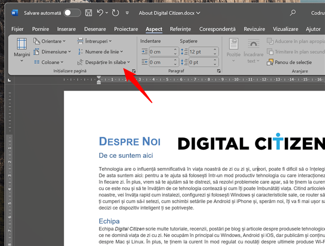 DespÄƒrÈ›ire Ã®n silabe Ã®n Microsoft Word