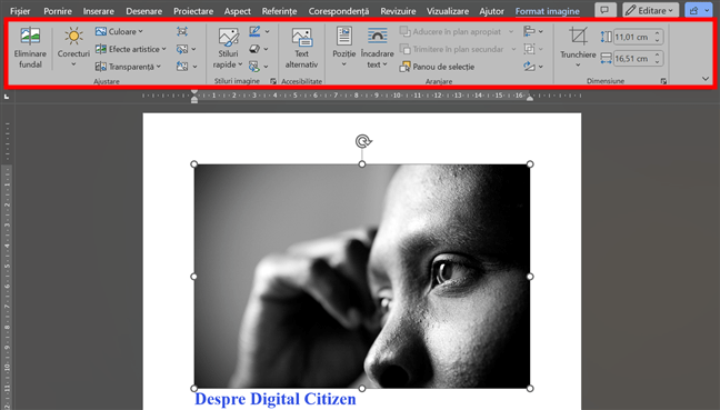 Instrumente disponibile pentru editarea imaginilor Ã®n Word