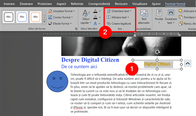 Instrumente de editare a textului pentru forme