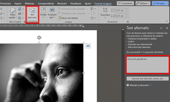 Cum adaugi text alternativ unei imagini sau forme