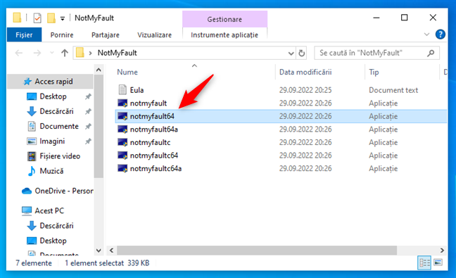 Deschide aplicaÈia NotMyFault