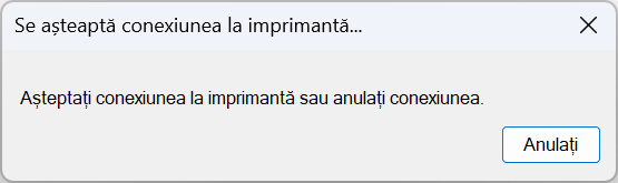 Word aÈteaptÄ conexiunea la imprimantÄ