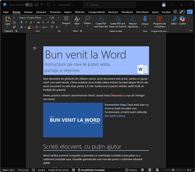 Tema Negru, &Atilde;&reg;n Word