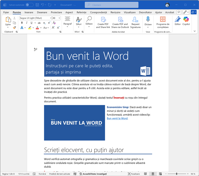 Tema Colorat, &Atilde;&reg;n Word