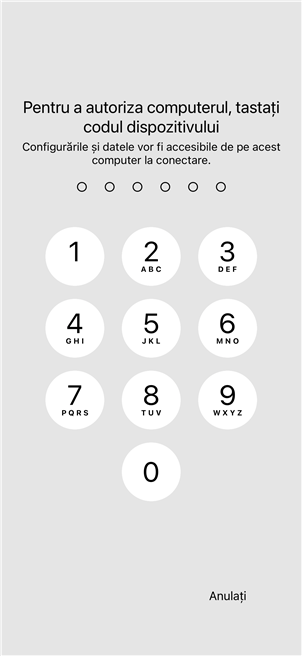 Introdu PIN-ul t&Auml;u pe iPhone