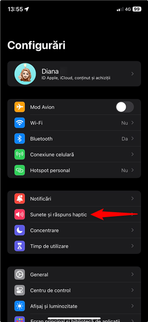 AcceseazÄ Sunete Èi rÄspuns haptic pe iPhone
