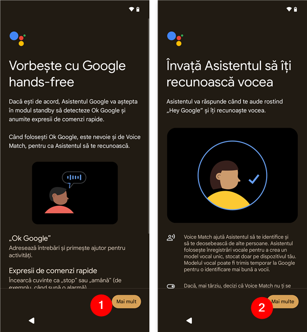 Decide dacÄ Èi cum sÄ foloseÈti Asistentul Google