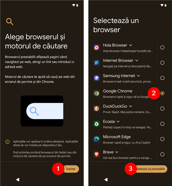 Alege un browser