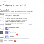 Windows 10, acces atribuit