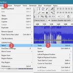 Audacity, Windows, melodie, invers, asculta, inapoi