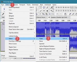Audacity, Windows, melodie, invers, asculta, inapoi