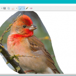 instrument, decupare, capturi, ecran, screenshot, imagine, copiaza, Windows
