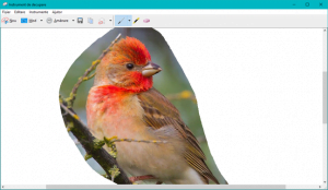 instrument, decupare, capturi, ecran, screenshot, imagine, copiaza, Windows