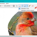 instrument, decupare, capturi, ecran, screenshot, imagine, copiaza, Windows