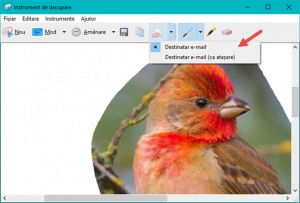 instrument, decupare, capturi, ecran, screenshot, imagine, copiaza, Windows