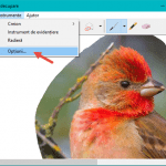 instrument, decupare, capturi, ecran, screenshot, imagine, copiaza, Windows