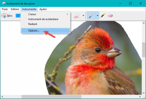 instrument, decupare, capturi, ecran, screenshot, imagine, copiaza, Windows