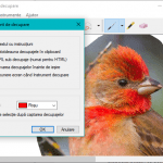 instrument, decupare, capturi, ecran, screenshot, imagine, copiaza, Windows