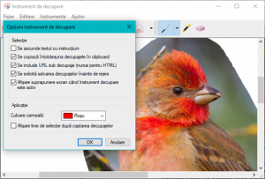 instrument, decupare, capturi, ecran, screenshot, imagine, copiaza, Windows