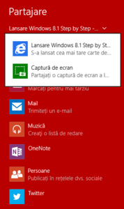 charm, butoane speciale, windows 8, windows 8.1
