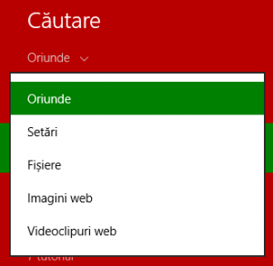 charm, butoane speciale, windows 8, windows 8.1