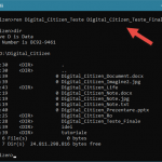 Redenumirea folderelor cu comanda REN, în Linia de comandă