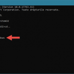 Schimbarea unității de stocare și a directorului, în Linia de comandă