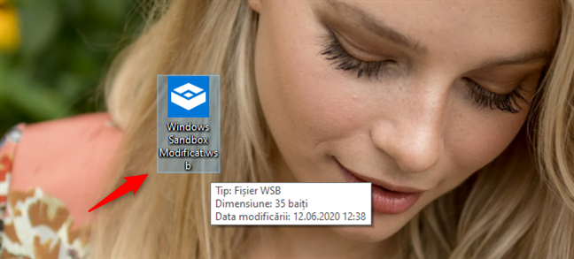Un fișier de configurare Windows Sandbox personalizat