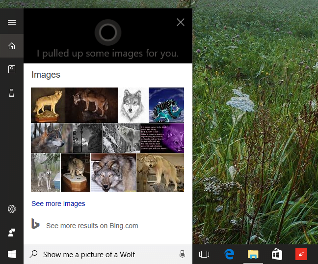 Cortana, Windows 10