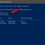 Executarea comenzii netsh în PowerShell