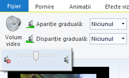 Windows, Movie Maker, editare, video