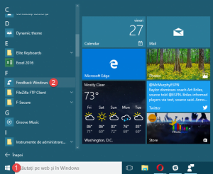 aplicatie, Windows 10, Feedback Windows, raporteaza, voteaza, sugestii, probleme