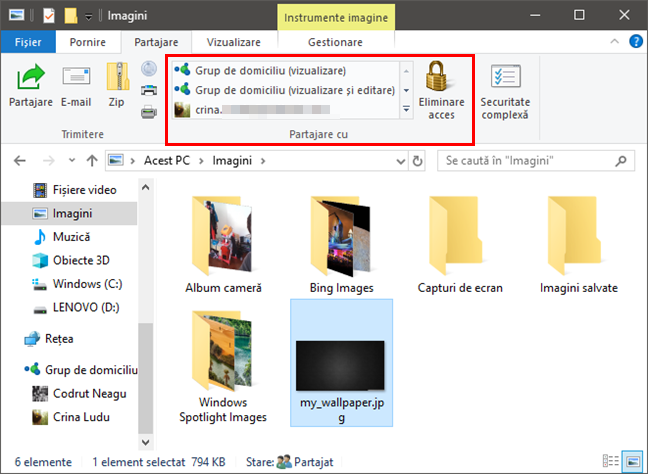 File Explorer, Windows, partajare, fisiere
