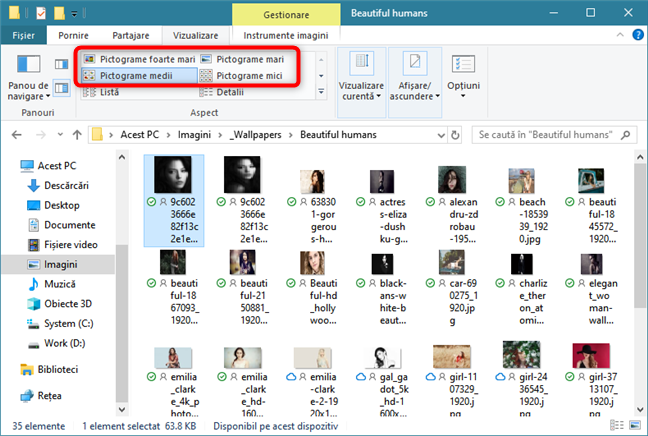 Alegerea de a afișa fișierele sub formă de pictograme de diferite mărimi