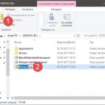 File Explorer, Windows, partajare, fisiere