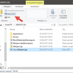 File Explorer, Windows, partajare, fisiere