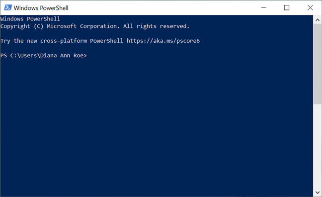 The PowerShell console opens