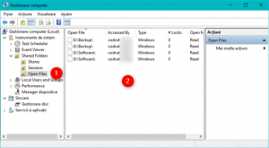 Open Files îți arată lista de fișiere deschise de utilizatorii din rețea