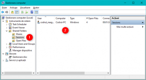 Secțiunea Sessions îți arată lista de utilizatori conectați în prezent la folderele partajate
