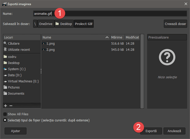 Denumirea și alegerea extensiei GIF pentru animație