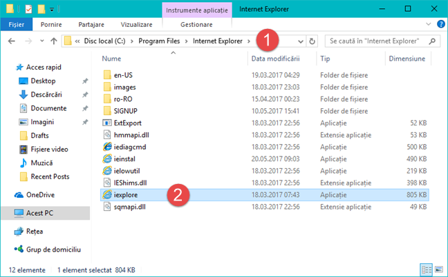 Internet Explorer, Windows