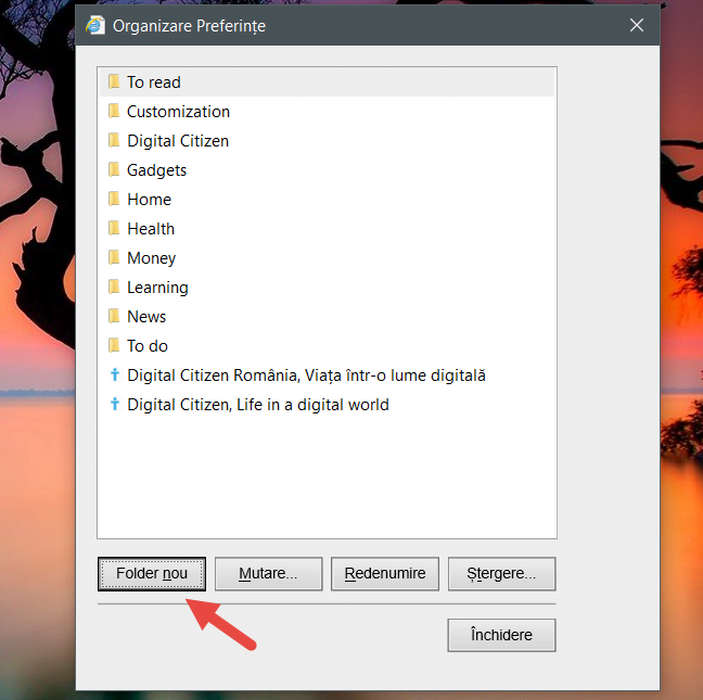 Internet Explorer, favorite, pagini web