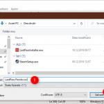 Salvarea fișierului text folosind tipul CSV