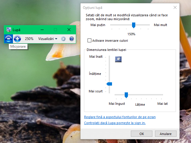 Windows, Lupa, Magnifier