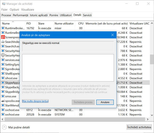 Skype se execută normal în fereastra Analiză șir de așteptare