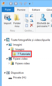 Windows, Movie Maker, import, fotografii, videoclipuri