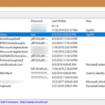 Network Password Recovery, parole, Windows