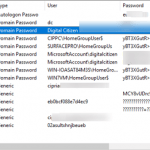 Network Password Recovery, parole, Windows