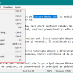 Meniul Editare din Notepad