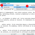 Setări Zoom în Notepad pentru Windows 10